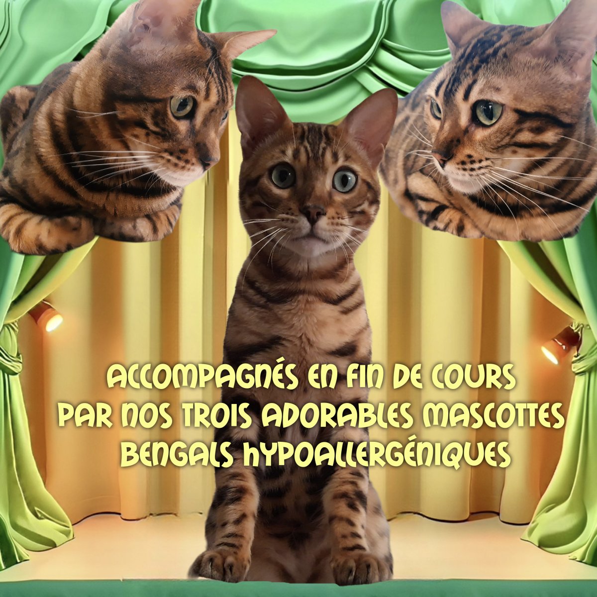 Rideau vert Bengals